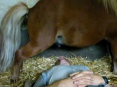 The Thirsty Center Laying beneath one of his horses, the older man allows the animal to urinate in his throat.